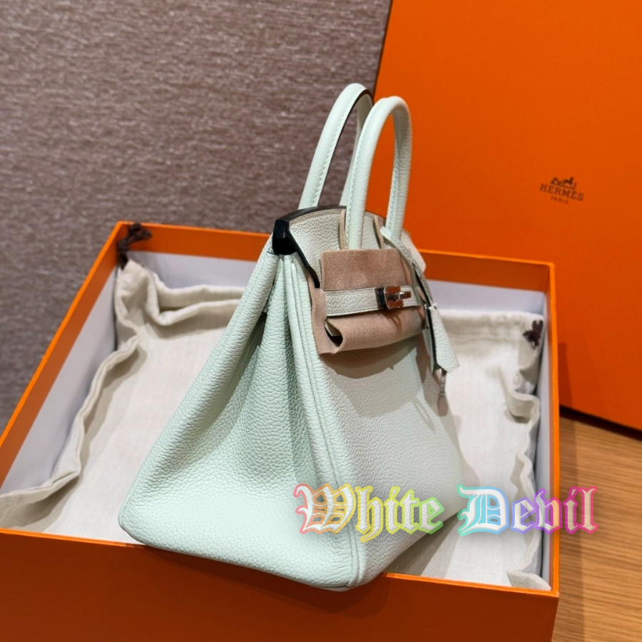 하얀악마 에르 버킨 (4).jpg