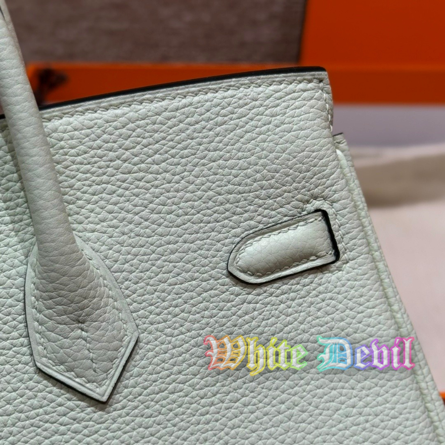 하얀악마 에르 버킨 (12).jpg