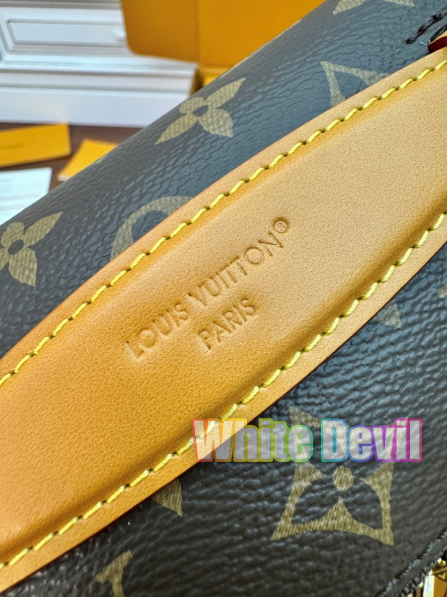 하얀악마 루이 러시 범백 (15).jpg