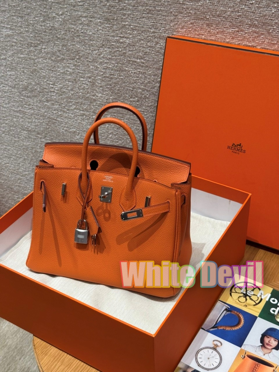 하얀악마 에르 버킨 (1).jpg