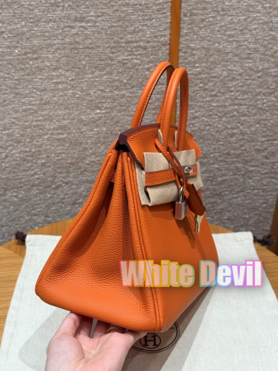 하얀악마 에르 버킨 (3).jpg