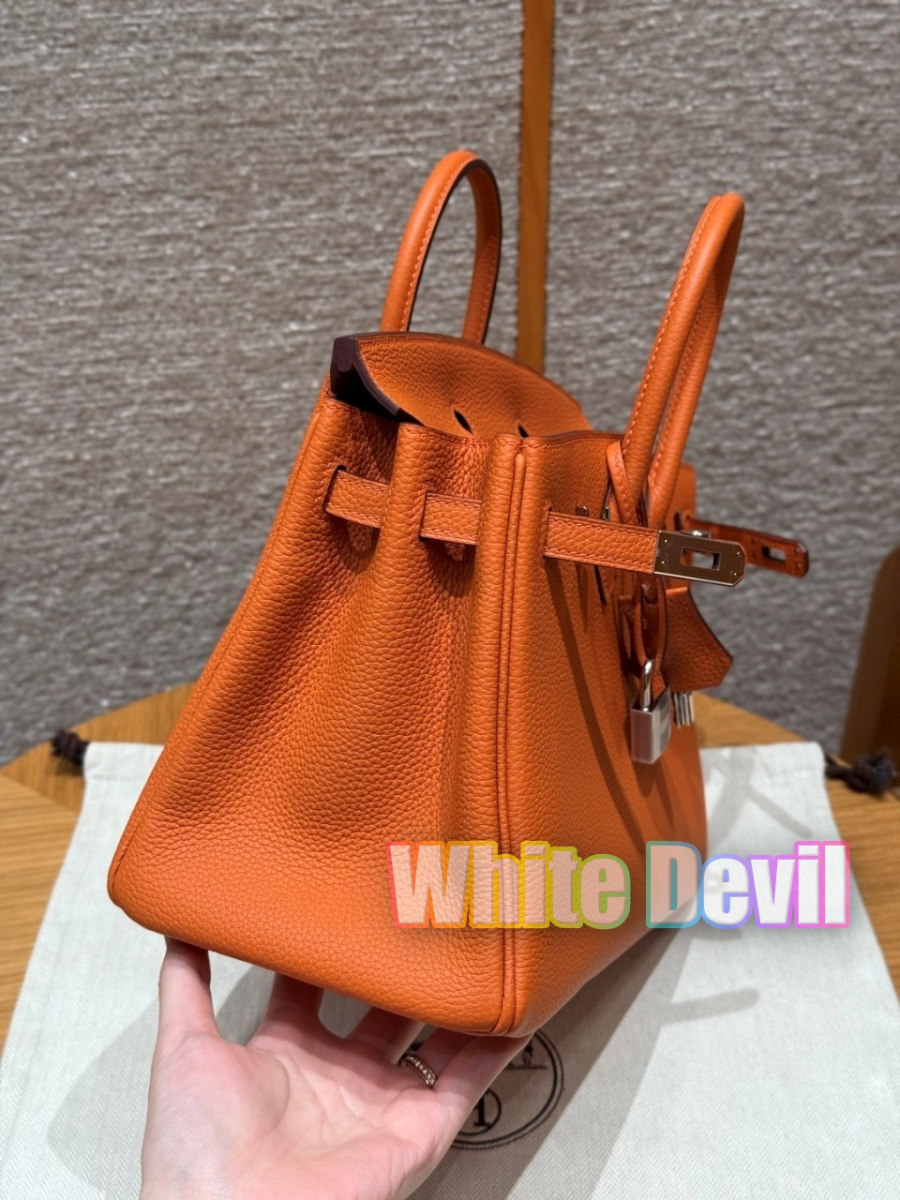 하얀악마 에르 버킨 (5).jpg