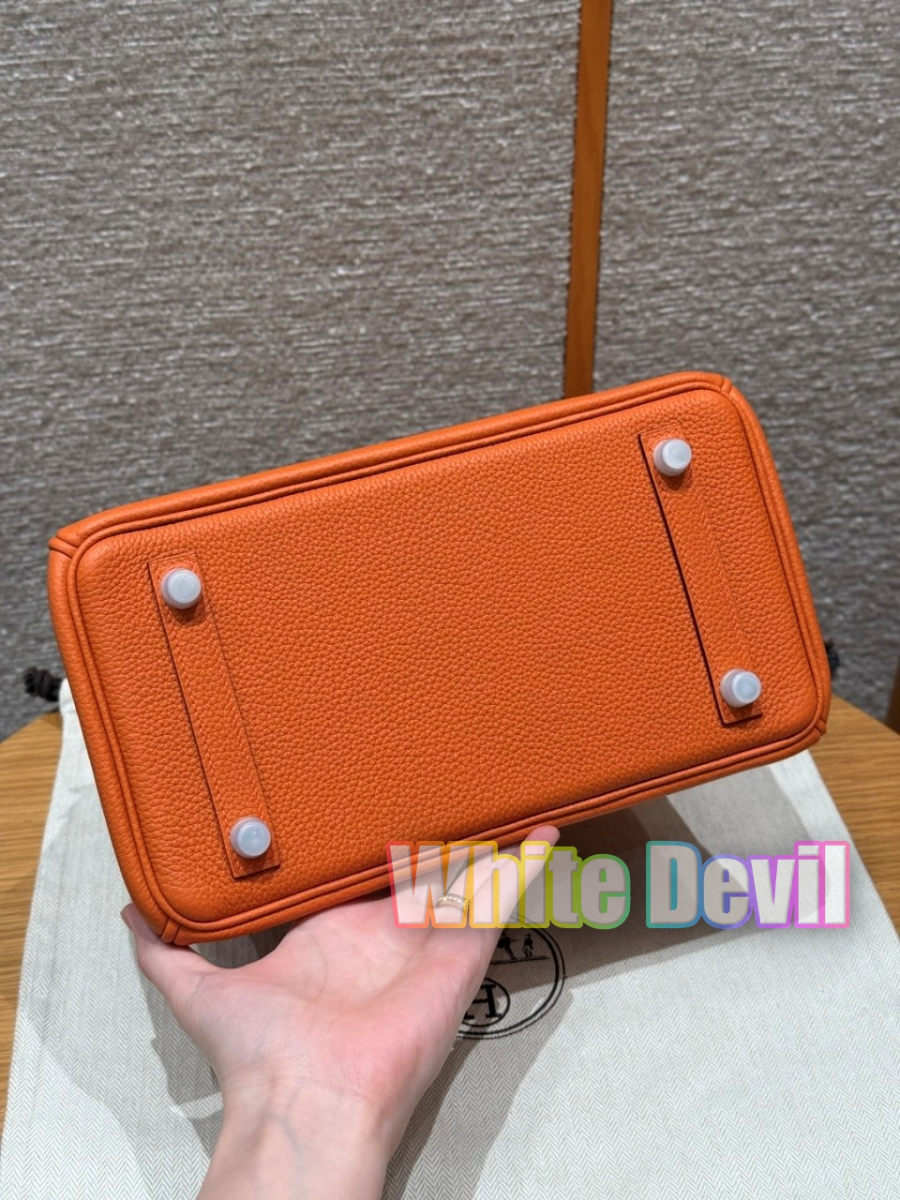 하얀악마 에르 버킨 (6).jpg