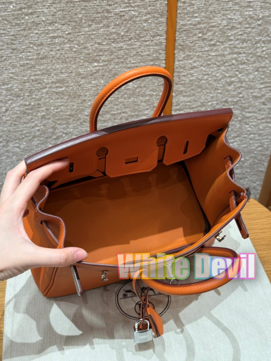 하얀악마 에르 버킨 (8).jpg