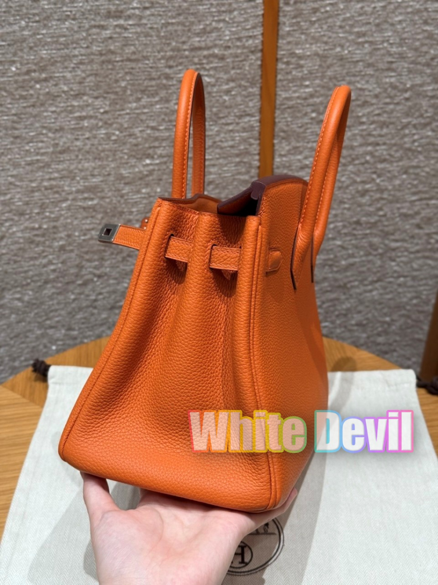 하얀악마 에르 버킨 (11).jpg