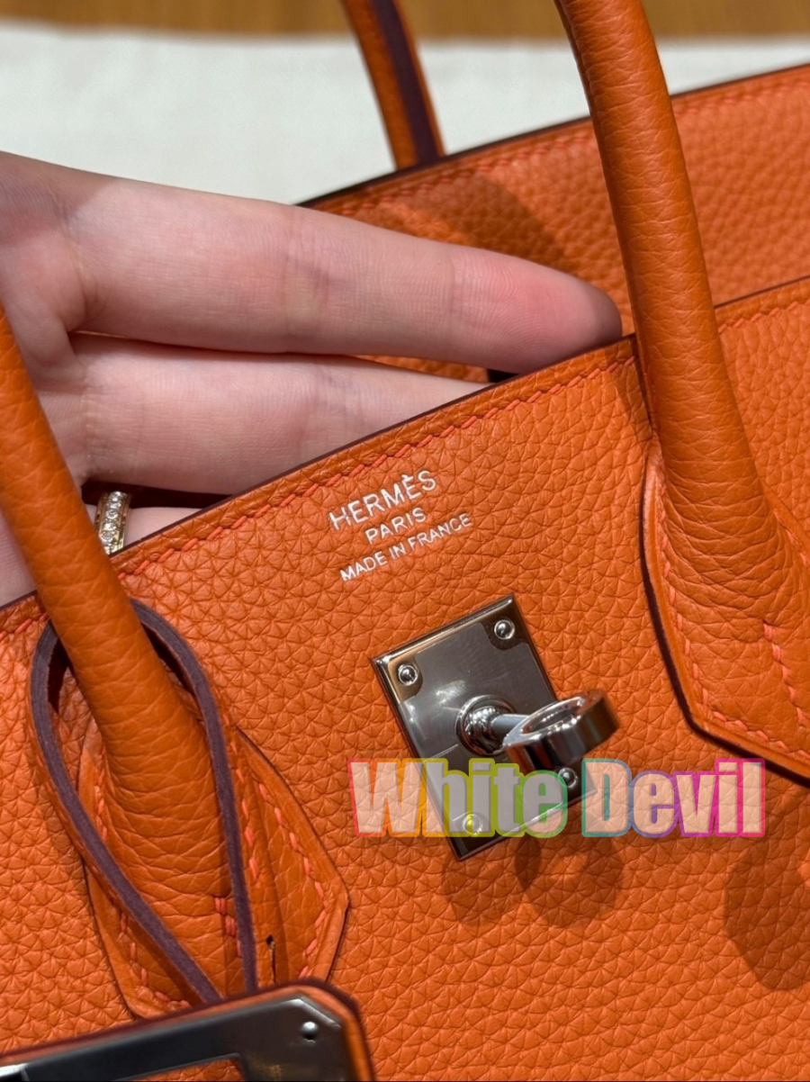 하얀악마 에르 버킨 (13).jpg