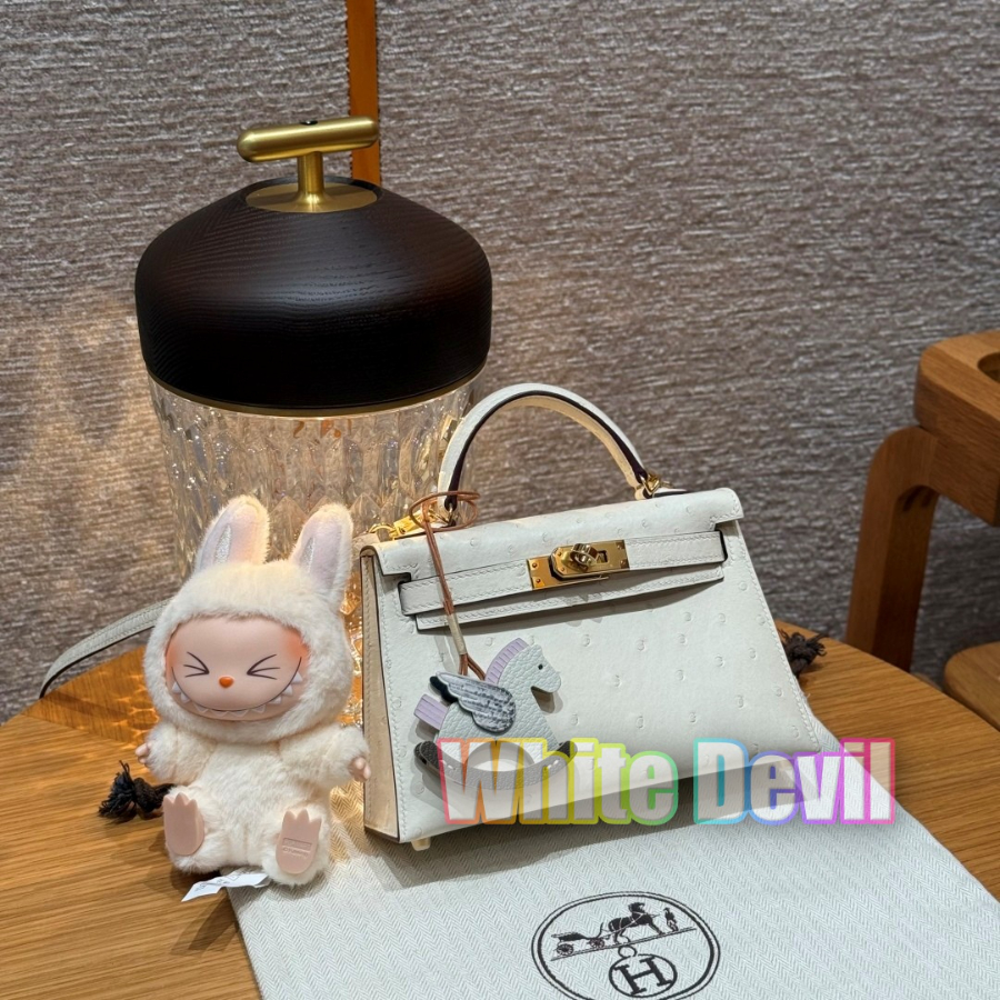 하얀악마 에르메스 가방 (2).jpg