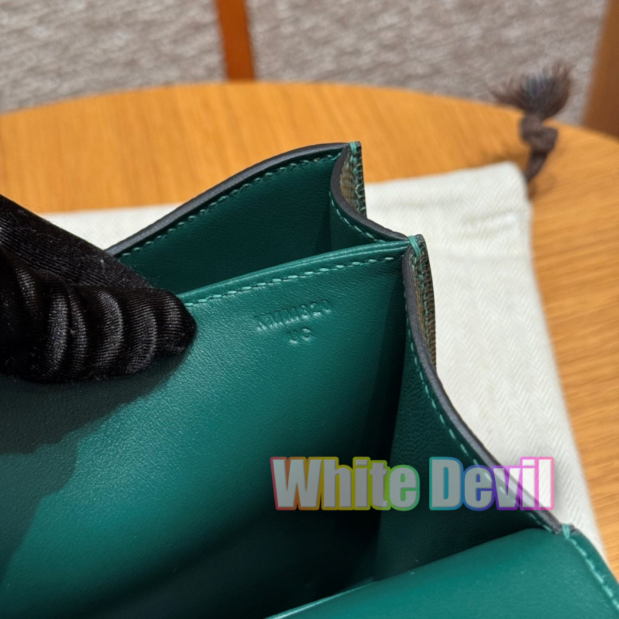 기증악마 에르콘스탄스 (9).jpg