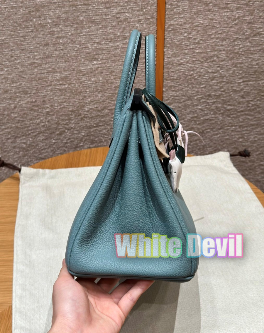 하얀악마 에르 버킨 (4).jpg