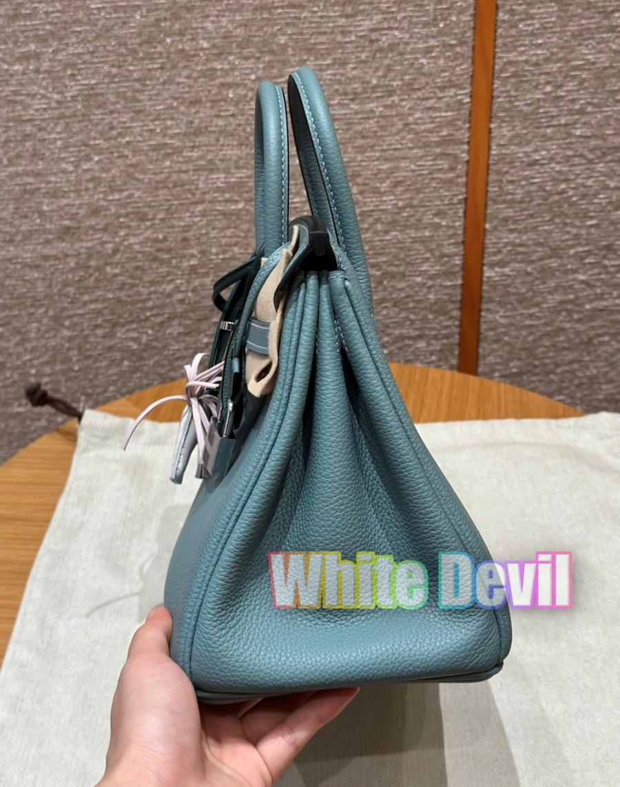 하얀악마 에르 버킨 (5).jpg