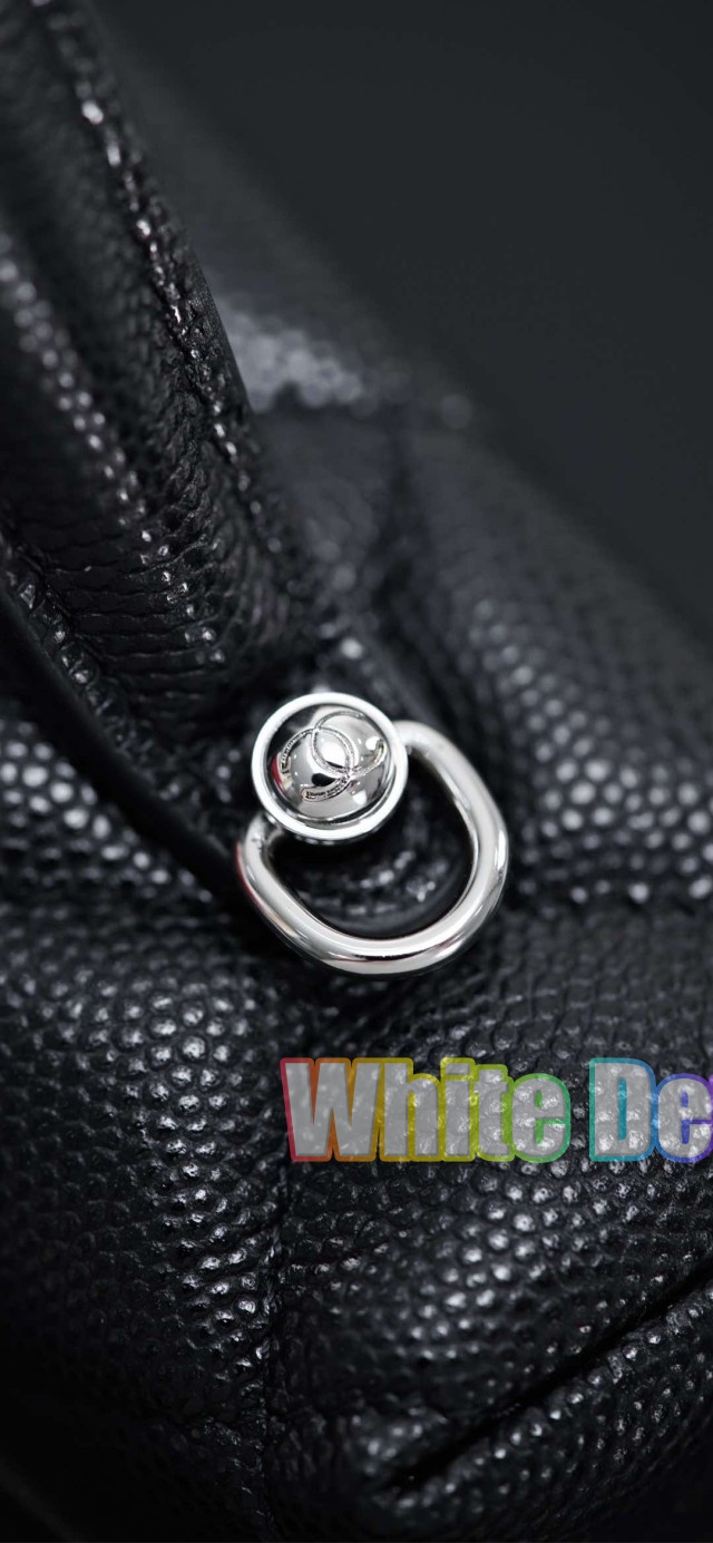 하얀악마 샤넬 베니티 (22).jpg