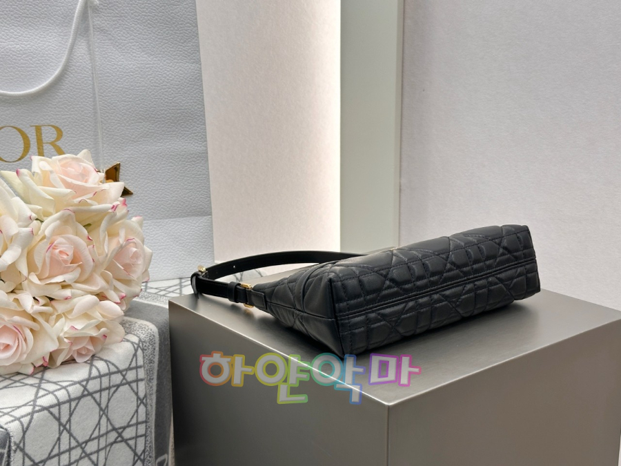 하얀악마 디올 카로시갈 (6).jpg