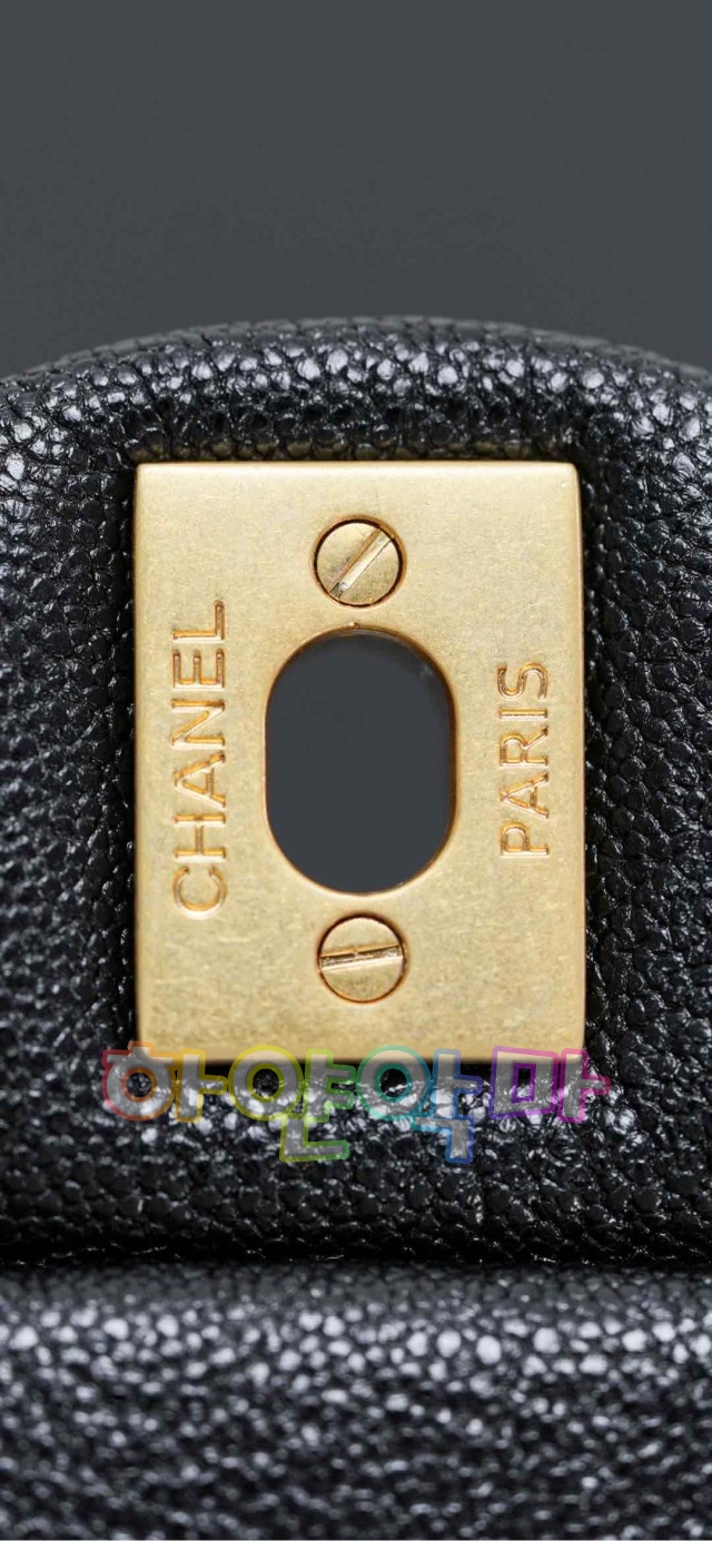 하얀악마 샤넬 뉴미니 (24).jpg