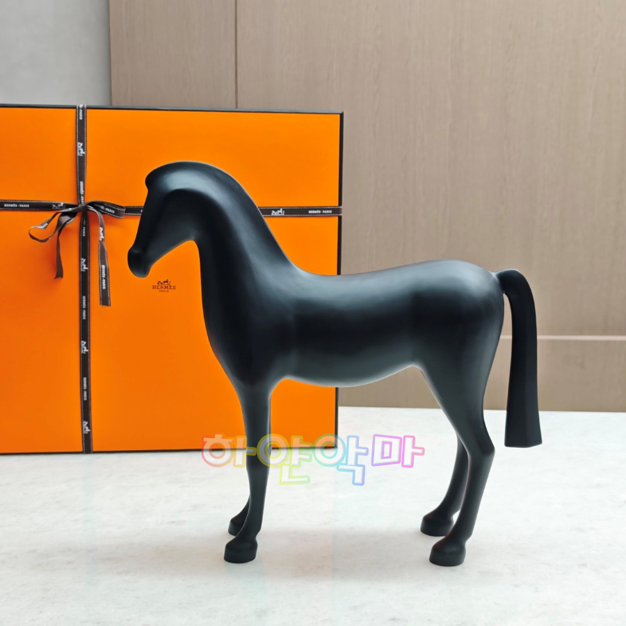 하얀악마 에르 아리온 (3).jpg