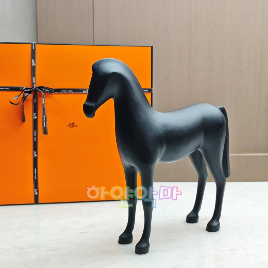 하얀악마 에르 아리온 (2).jpg