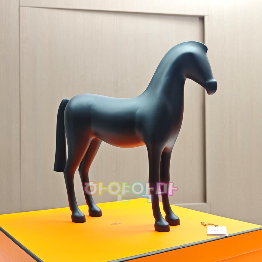 하얀악마 에르 아리온 (4).jpg