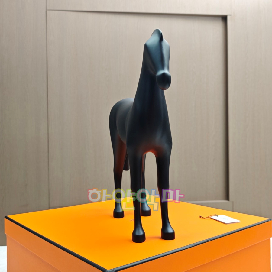 하얀악마 에르 아리온 (9).jpg