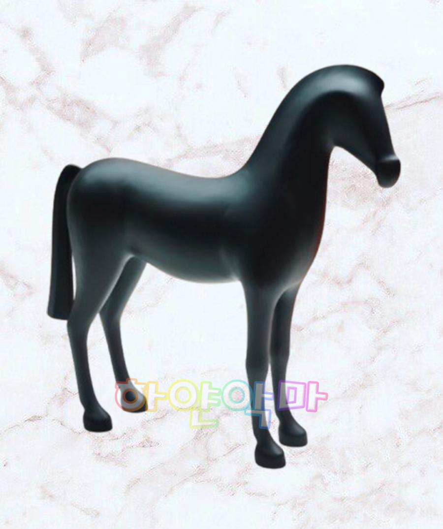 하얀악마 에르 아리온 (11).JPG