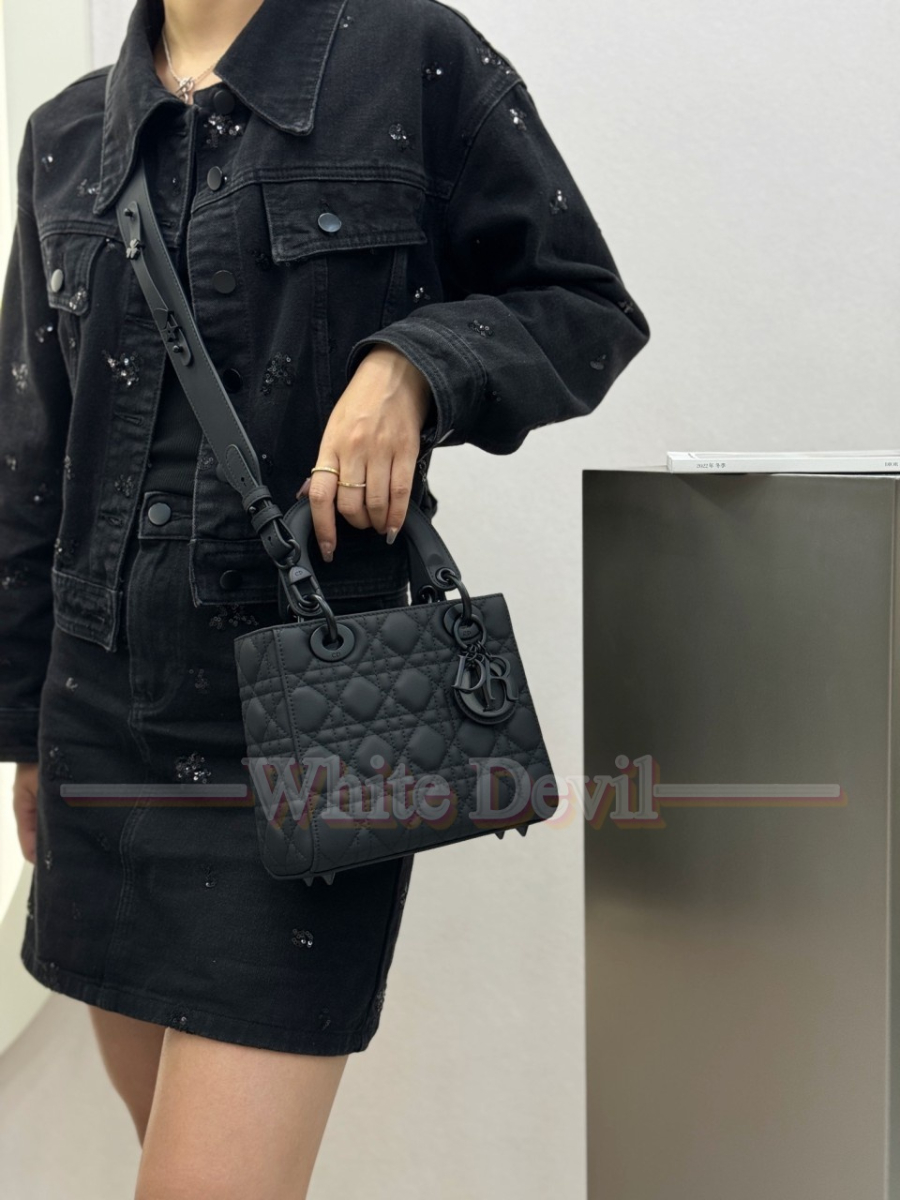 하얀악마 디올 레이디백 (1).jpg