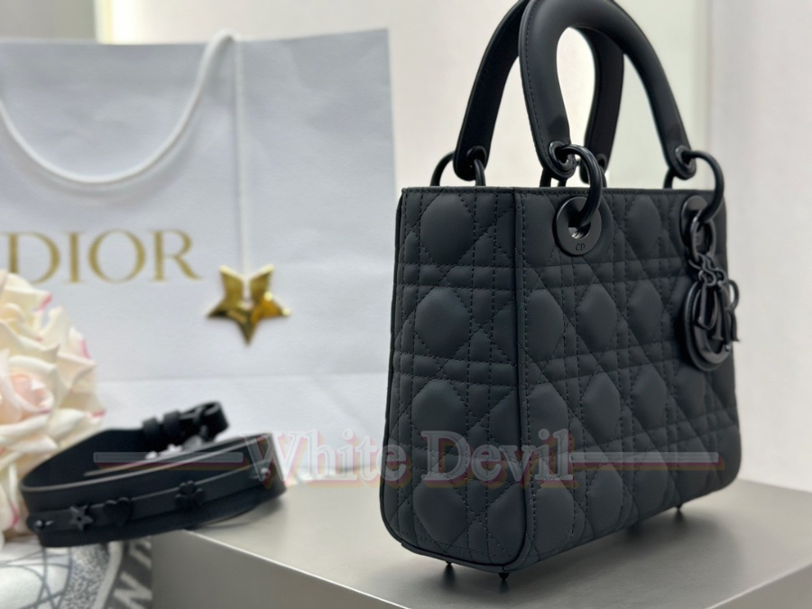 하얀악마 디올 레이디백 (13).jpg