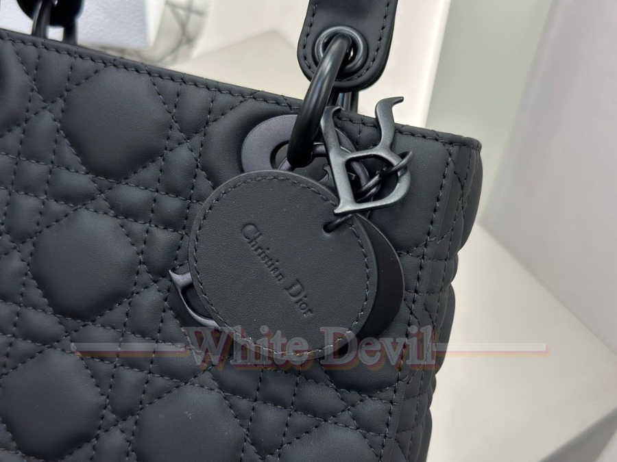하얀악마 디올 레이디백 (15).jpg