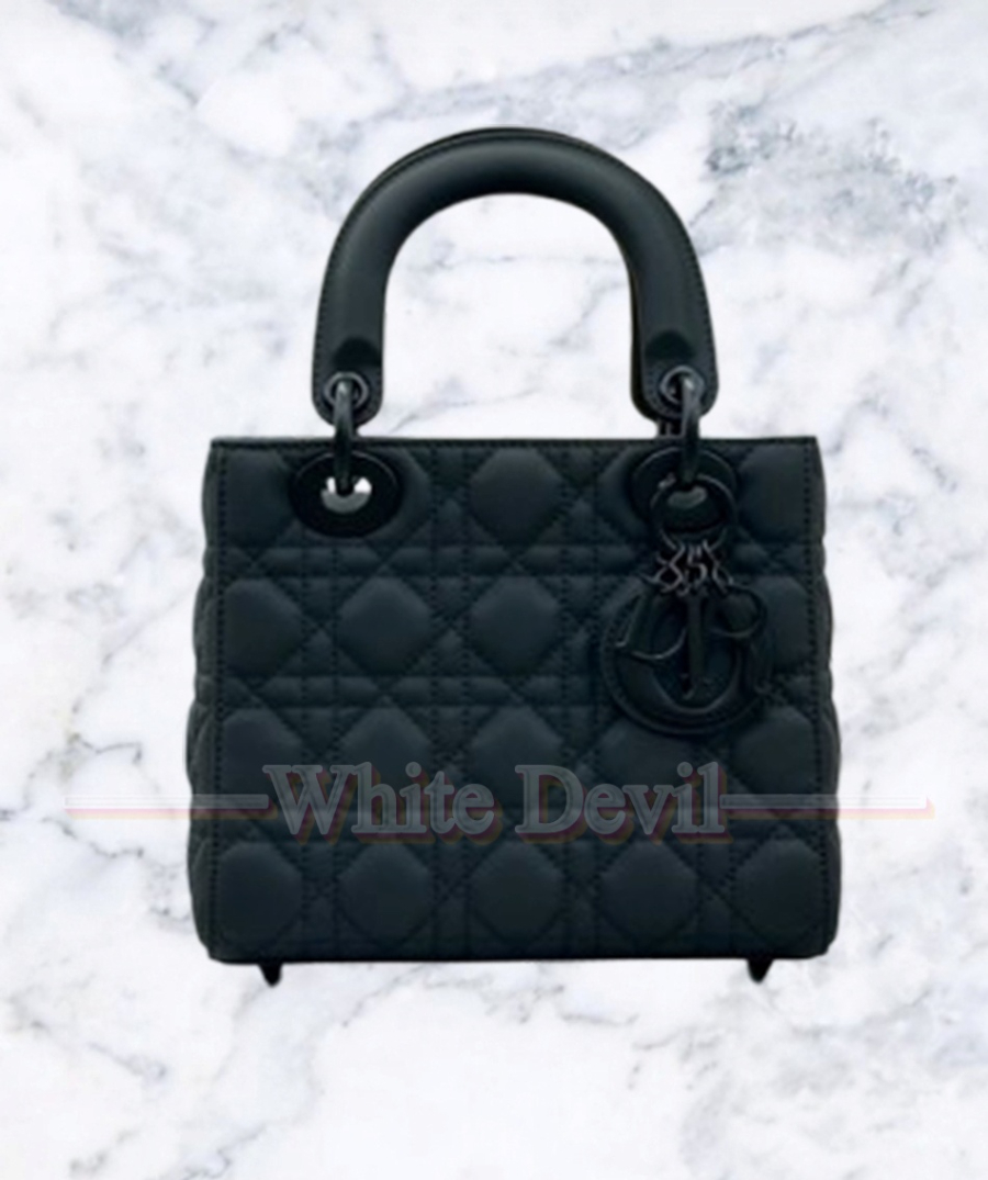 하얀악마 디올 레이디백 (17).jpg