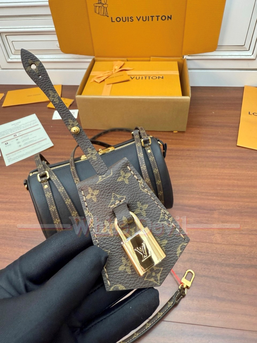 하얀악마 루이비통 가장 (19).jpg