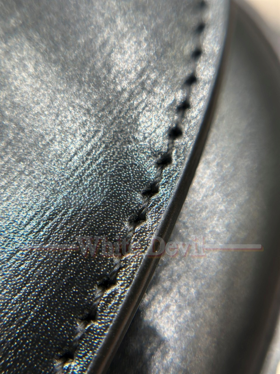 하얀악마 생로랑 볼테르 (15).jpg