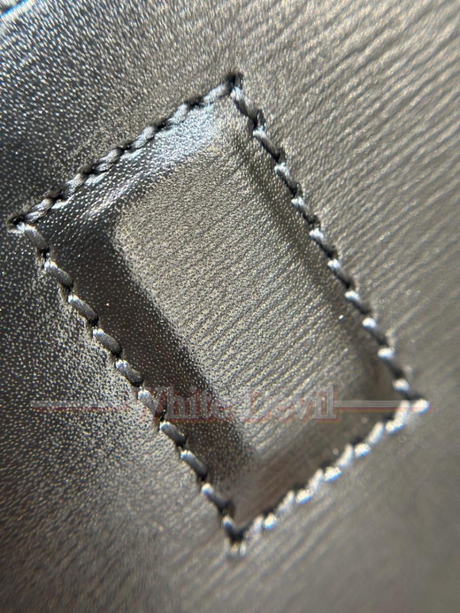 하얀악마 생로랑 볼테르 (18).jpg