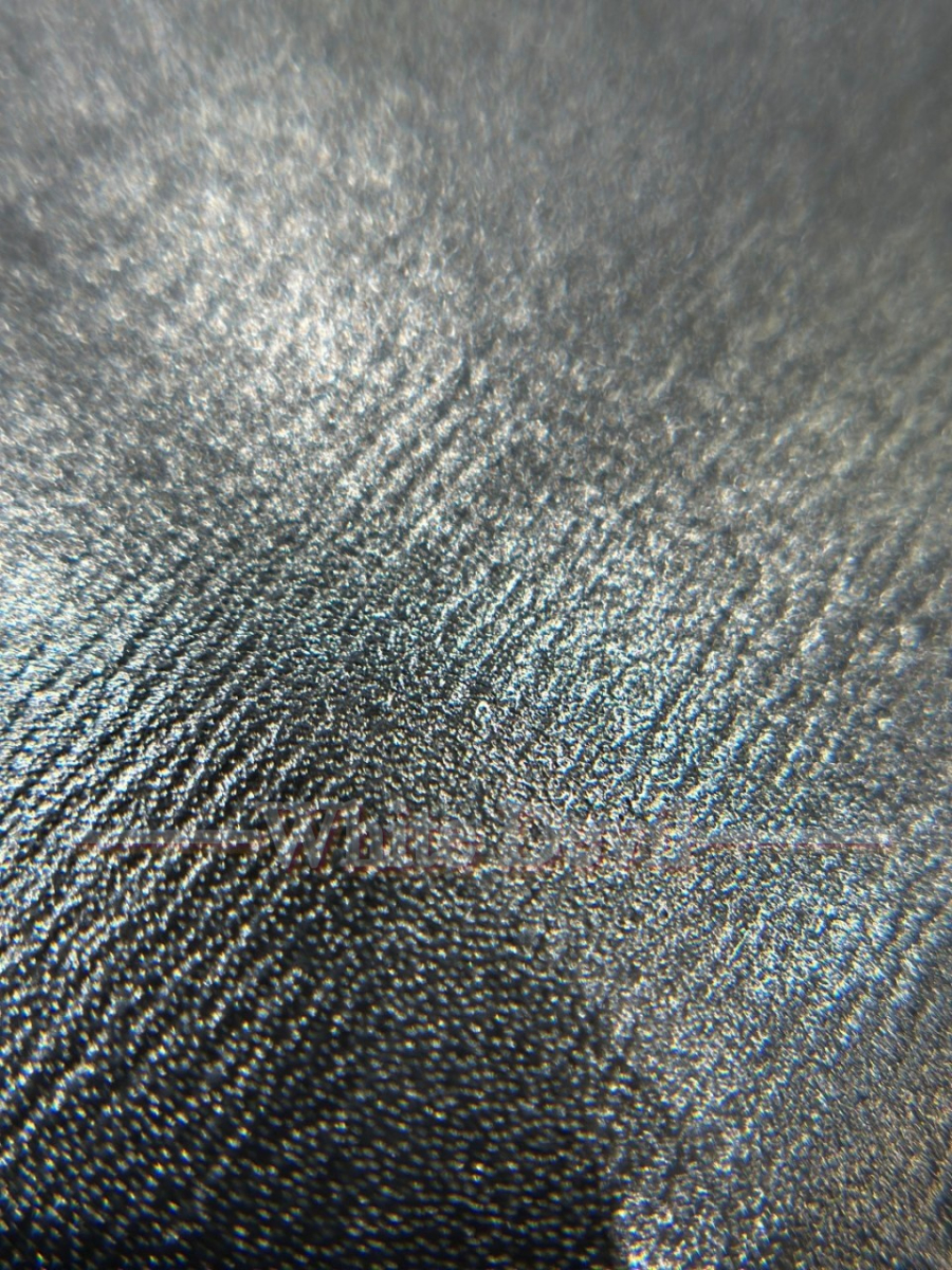 하얀악마 생로랑 볼테르 (20).jpg