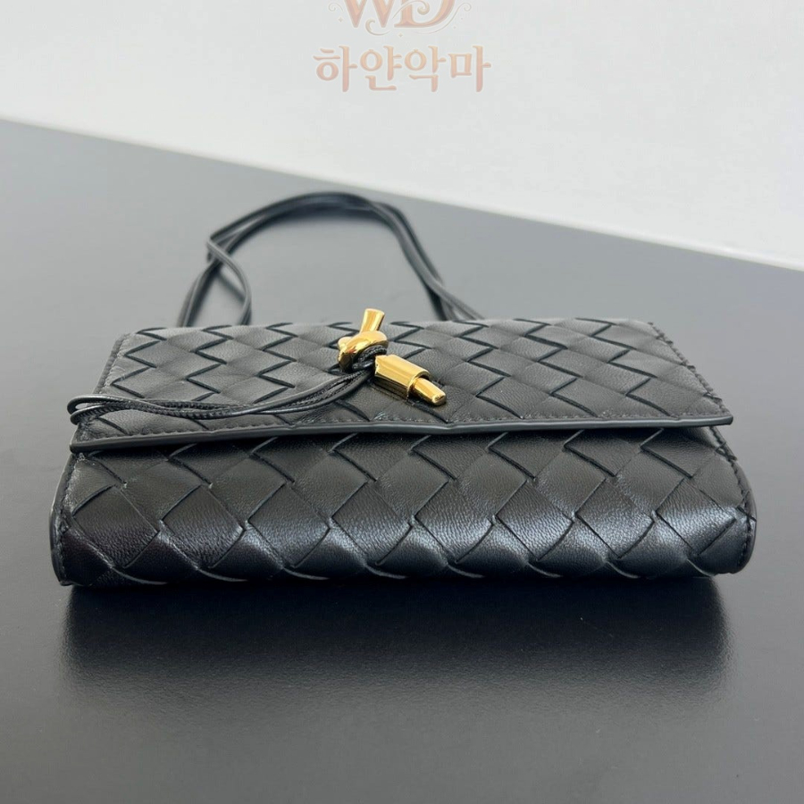 보테가-명품가방-파우치백-6.jpg
