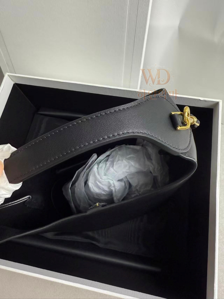 셀린느 호보백 (9).jpg